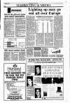 Sunday Tribune Sunday 11 February 1990 Page 36