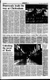 Sunday Tribune Sunday 18 March 1990 Page 19