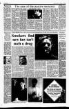 Sunday Tribune Sunday 06 May 1990 Page 13