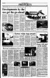 Sunday Tribune Sunday 03 June 1990 Page 41