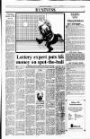 Sunday Tribune Sunday 01 July 1990 Page 33