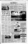 Sunday Tribune Sunday 01 July 1990 Page 39