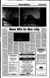 Sunday Tribune Sunday 01 July 1990 Page 43