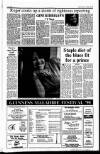 Sunday Tribune Sunday 08 July 1990 Page 13