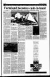 Sunday Tribune Sunday 08 July 1990 Page 17
