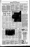 Sunday Tribune Sunday 08 July 1990 Page 37