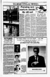 Sunday Tribune Sunday 15 July 1990 Page 37