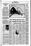 Sunday Tribune Sunday 22 July 1990 Page 33