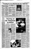 Sunday Tribune Sunday 05 August 1990 Page 13