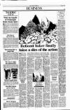Sunday Tribune Sunday 05 August 1990 Page 33