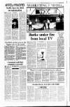 Sunday Tribune Sunday 26 August 1990 Page 36