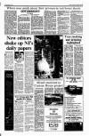 Sunday Tribune Sunday 16 September 1990 Page 13