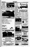 Sunday Tribune Sunday 16 September 1990 Page 41
