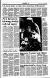 Sunday Tribune Sunday 23 September 1990 Page 23