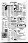 Sunday Tribune Sunday 14 October 1990 Page 12