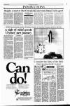 Sunday Tribune Sunday 14 October 1990 Page 36