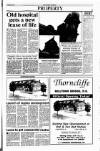Sunday Tribune Sunday 21 October 1990 Page 41
