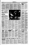 Sunday Tribune Sunday 28 October 1990 Page 25
