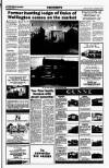 Sunday Tribune Sunday 28 October 1990 Page 43