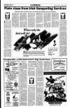 Sunday Tribune Sunday 18 November 1990 Page 33