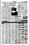 Sunday Tribune Sunday 18 November 1990 Page 39