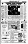 Sunday Tribune Sunday 18 November 1990 Page 41