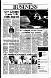 Sunday Tribune Sunday 23 December 1990 Page 29
