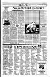 Sunday Tribune Sunday 23 December 1990 Page 31