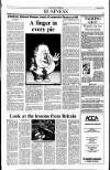 Sunday Tribune Sunday 06 January 1991 Page 33