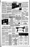 Sunday Tribune Sunday 06 January 1991 Page 37