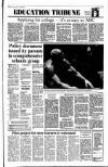 Sunday Tribune Sunday 06 January 1991 Page 41