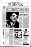 Sunday Tribune Sunday 27 January 1991 Page 25
