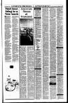 Sunday Tribune Sunday 27 January 1991 Page 37