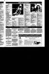 Sunday Tribune Sunday 27 January 1991 Page 57