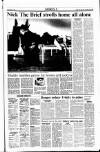 Sunday Tribune Sunday 17 February 1991 Page 19
