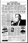 Sunday Tribune Sunday 17 February 1991 Page 25