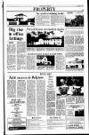 Sunday Tribune Sunday 17 February 1991 Page 33