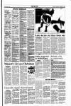 Sunday Tribune Sunday 24 February 1991 Page 17