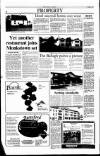 Sunday Tribune Sunday 17 March 1991 Page 31