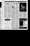 Sunday Tribune Sunday 09 June 1991 Page 40