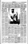 Sunday Tribune Sunday 16 June 1991 Page 19