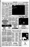 Sunday Tribune Sunday 16 June 1991 Page 37