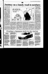 Sunday Tribune Sunday 16 June 1991 Page 51