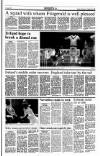 Sunday Tribune Sunday 23 June 1991 Page 19