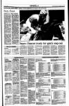 Sunday Tribune Sunday 30 June 1991 Page 17