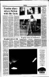 Sunday Tribune Sunday 08 September 1991 Page 9
