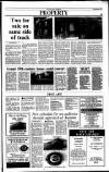 Sunday Tribune Sunday 08 September 1991 Page 39