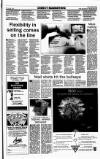 Sunday Tribune Sunday 20 October 1991 Page 36