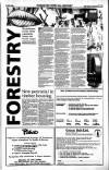 Sunday Tribune Sunday 07 June 1992 Page 45