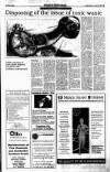 Sunday Tribune Sunday 19 July 1992 Page 45